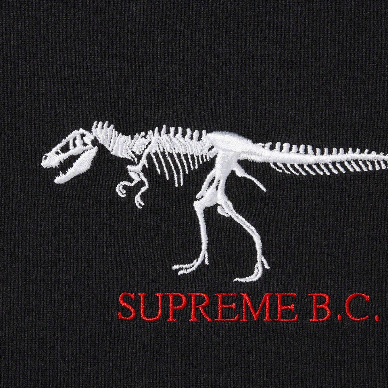 B.C. S/S Top view 2